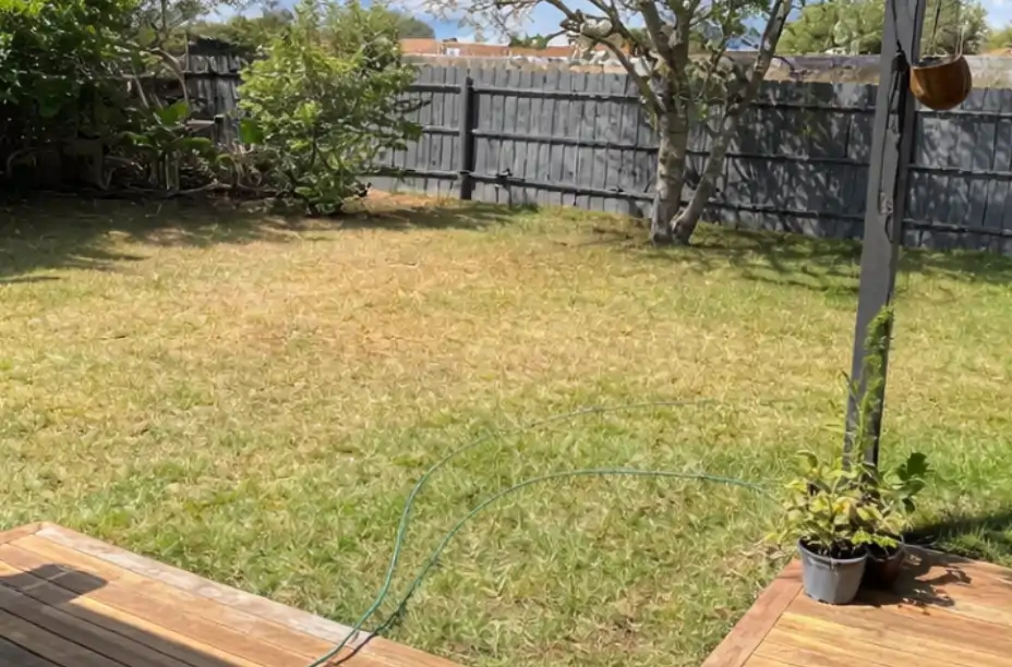 lyan before 2 lyan before 2